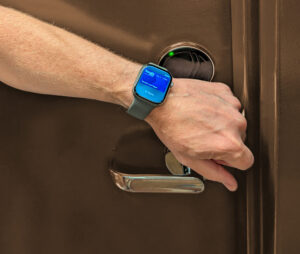 Virdee wallet key